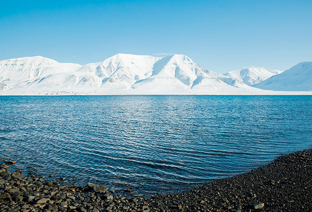 High-Latitude Regional Coupled Modeling