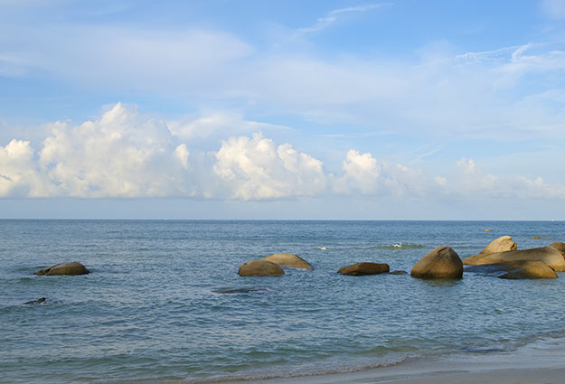 Multi-Scale Modeling